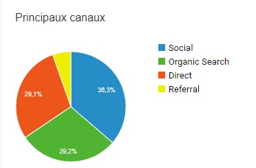 Exemple de source de trafic d'un site Internet sur Google Analytics